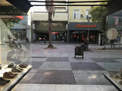 LOCALES - CON VIVIENDA - MICROCENTRO, RESISTENCIA