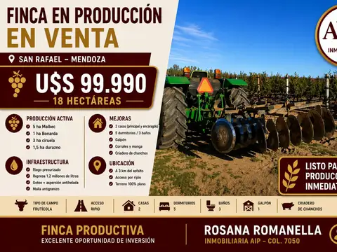 Finca - San Rafael