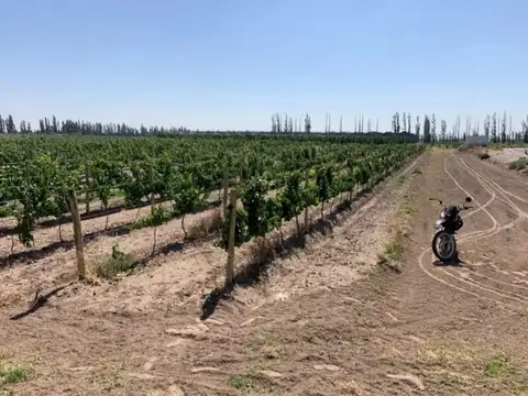 Finca - San Rafael