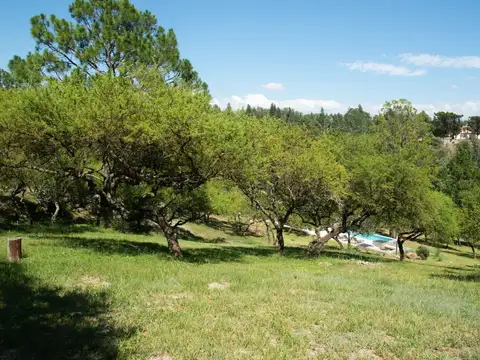 Venta Lote Posta Carreta - Calamuchita - Cordoba