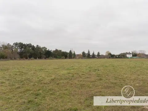 Terreno en Venta 65  mts Fondo