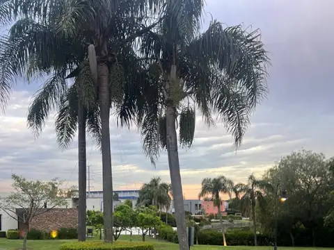 Terreno - Barrancas de Santa Maria