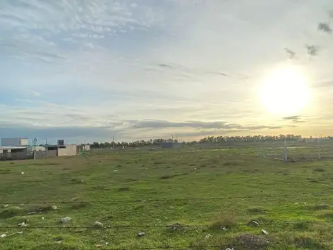 Terreno en Venta de 319,0 m2