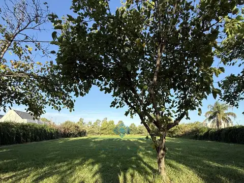 VENTA | LOTE EN JARDINES DEL LAGO- SINSACATE