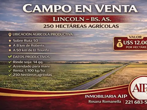 Campo - Roberts