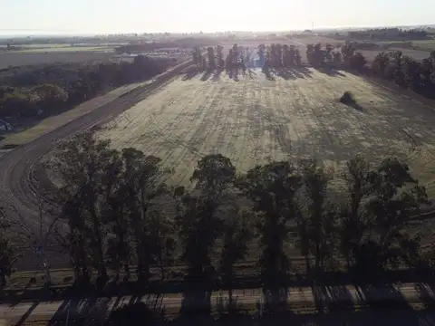 Calle Pública y Vieytes