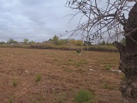 Terreno en Venta de 500,0 m2