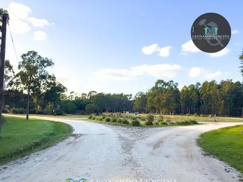 Terreno en Venta de 550,0 m2