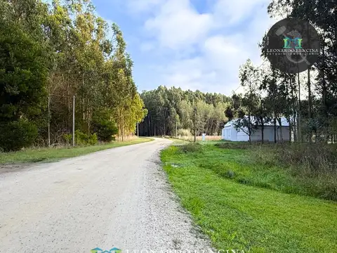 LOTE EN VENTA EN TIPANTÚ - EXCELENTE UBICACIÓN -