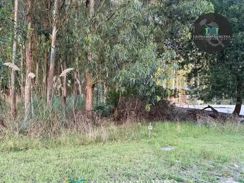 Terreno en Venta 26  mts Fondo