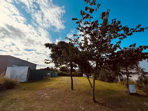 Julio Cortazar y Camino de Peru 100