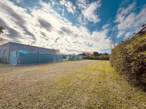 Julio Cortazar y Camino de Peru 100