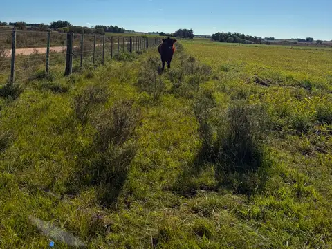 VENTA CHACRA 5 HAS SAN JACINTO, CANELONES