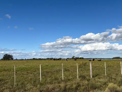VENTA CHACRA 5 HAS SAN JACINTO, CANELONES