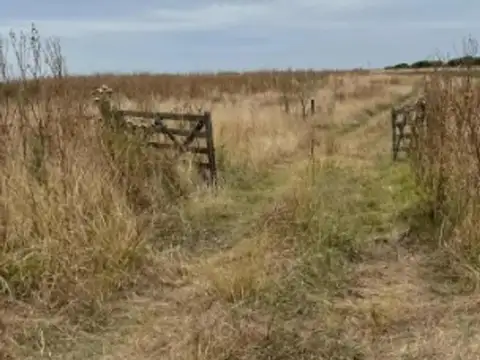 Campo en Venta Ganadero
