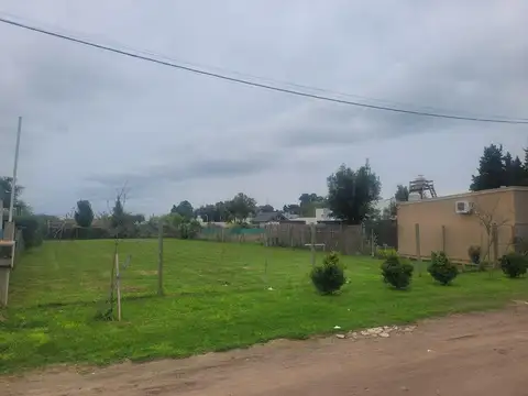 696/131 y 132 Ignacio Correas