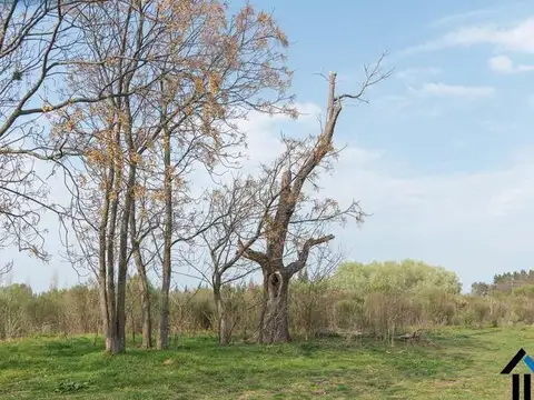Atención Emprendedores! Venta Campo 30 Has. A pocos metros de la Ruta 192 camino mejorado.