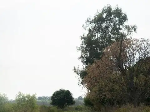 Ruta 192