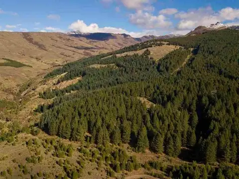 Ruta Nacional 40 km 2226