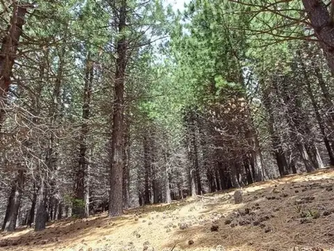 Terreno en Venta de 1115,0 m2