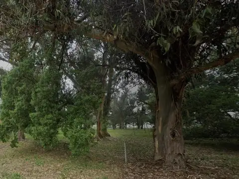 Terreno en Venta de 480,0 m2
