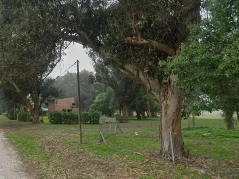 La Tijereta y El Cardenal