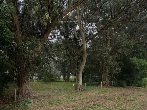 Terreno en venta - 480Mts2 - Playa Dorada