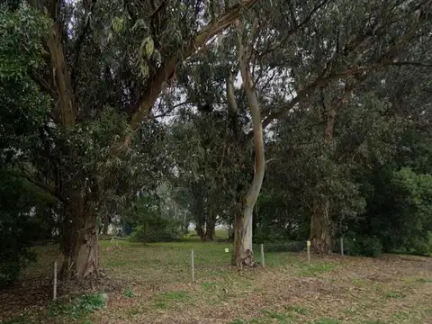 Terreno en venta - 480Mts2 - Playa Dorada