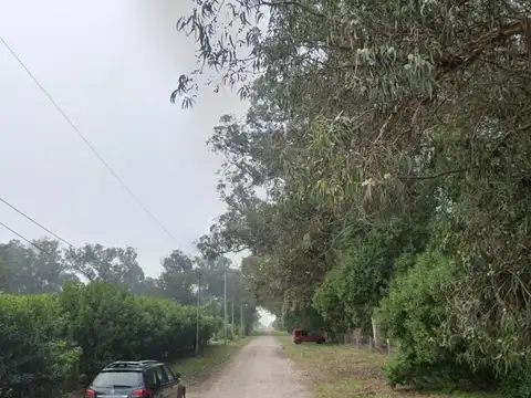 La Tijereta y El Cardenal