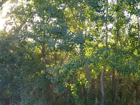 Terreno en venta en Las Gaviotas