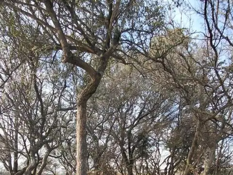 Lote venta Tierralta