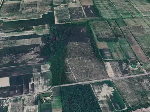 Campo de 48 hectáreas en La Banda, Santiago del Estero