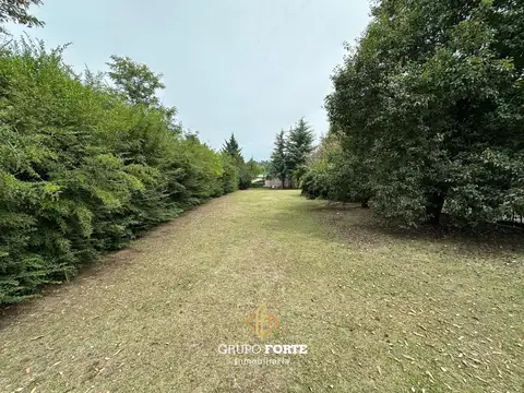 Juan Manuel De Rosas 300