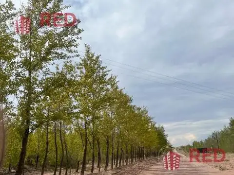 Terreno en Venta de 1188,0 m2