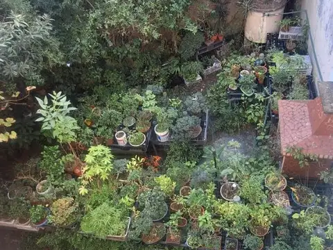 isabel fernandez 1500