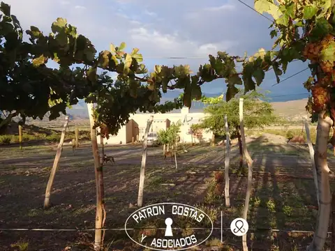 Chacra en venta en Molinos Valles Calchaquies