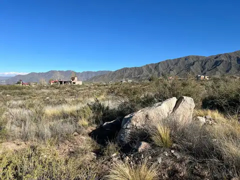 VENTA LOTES LA CRUCESITA BLANCO ENCALADA MENDOZA