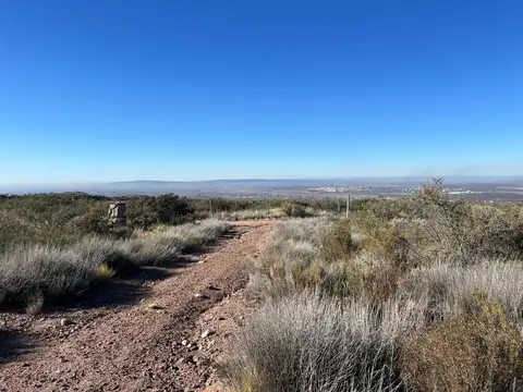Ruta 82