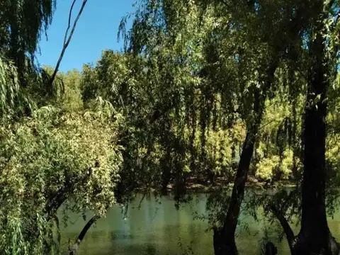 Terreno en RUFINA Etapa I Cervantes