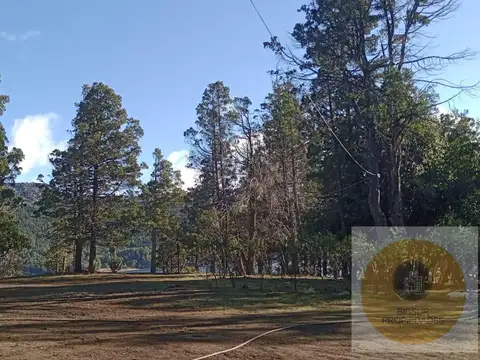 Campo en venta trevelin