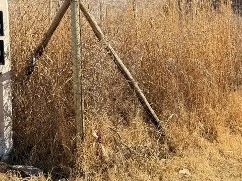 Terreno en Venta de 331,0 m2