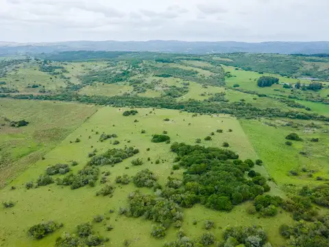 Chacra 39 hectareas - 100