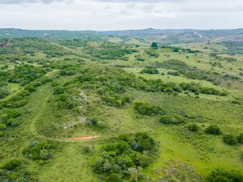 Chacra 39 hectareas - 100