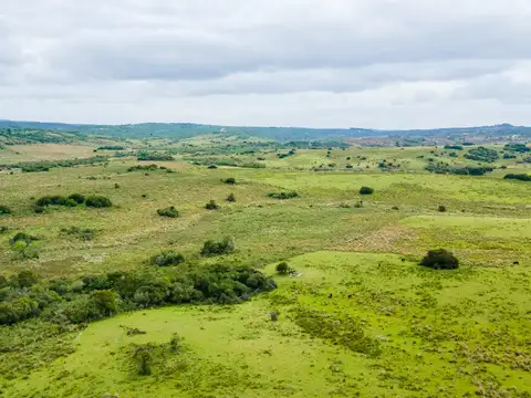 Chacra 39 hectareas - 100