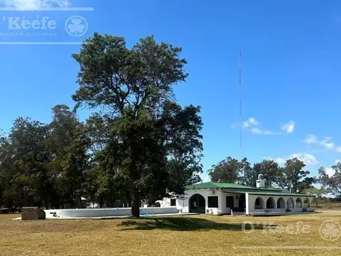 Chacra en venta 56 has en Verónica