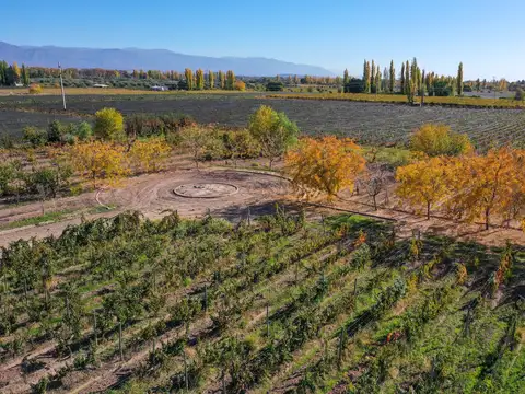 Terreno en Venta de 1000,0 m2