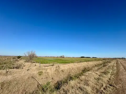 Campo en  Venta - 7,5 Ha