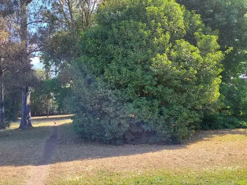 LOTE EN LOMAS DE SAN FRANCISCO