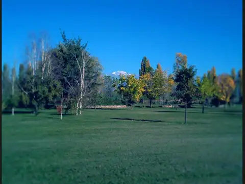 Callejón Villanueva s/n