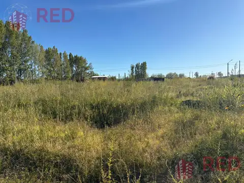 Terreno en Venta 25  mts Fondo